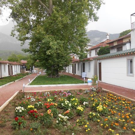 Ipsos Hotel Beldibi Kemer Zewnętrze zdjęcie