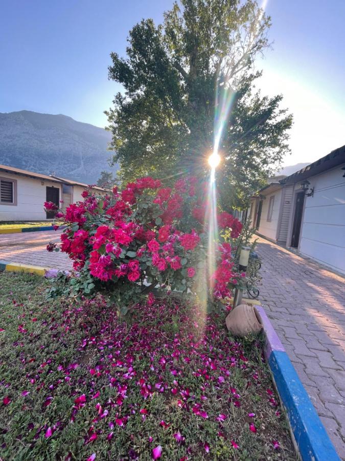 Ipsos Hotel Beldibi Kemer Zewnętrze zdjęcie